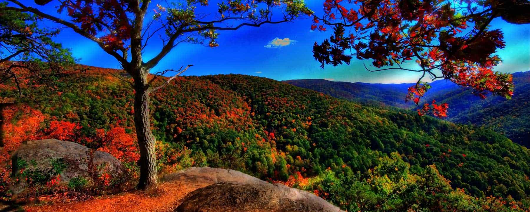 Nature3-actinutrition