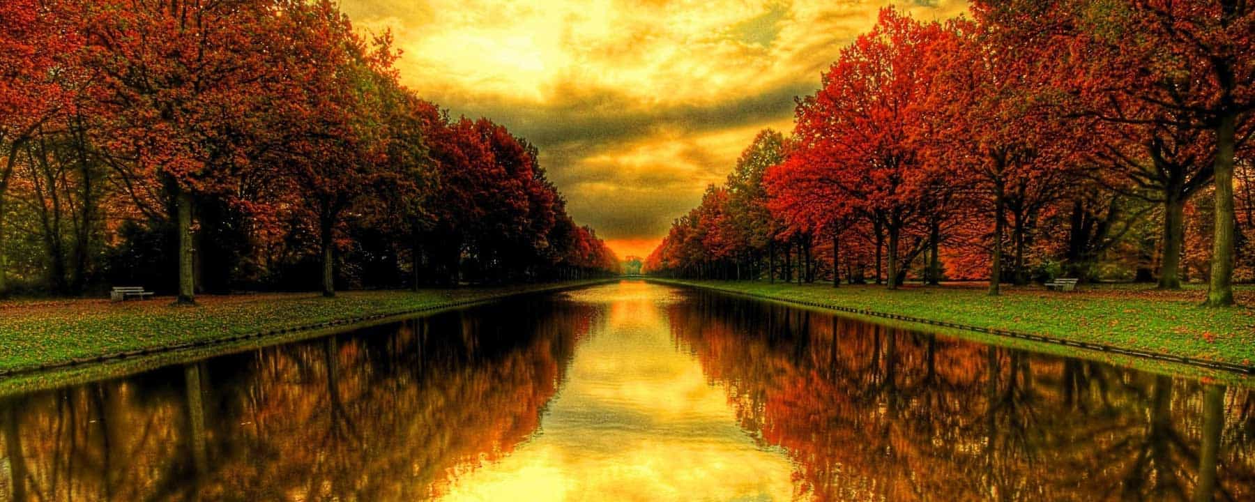 Nature4-actinutrition