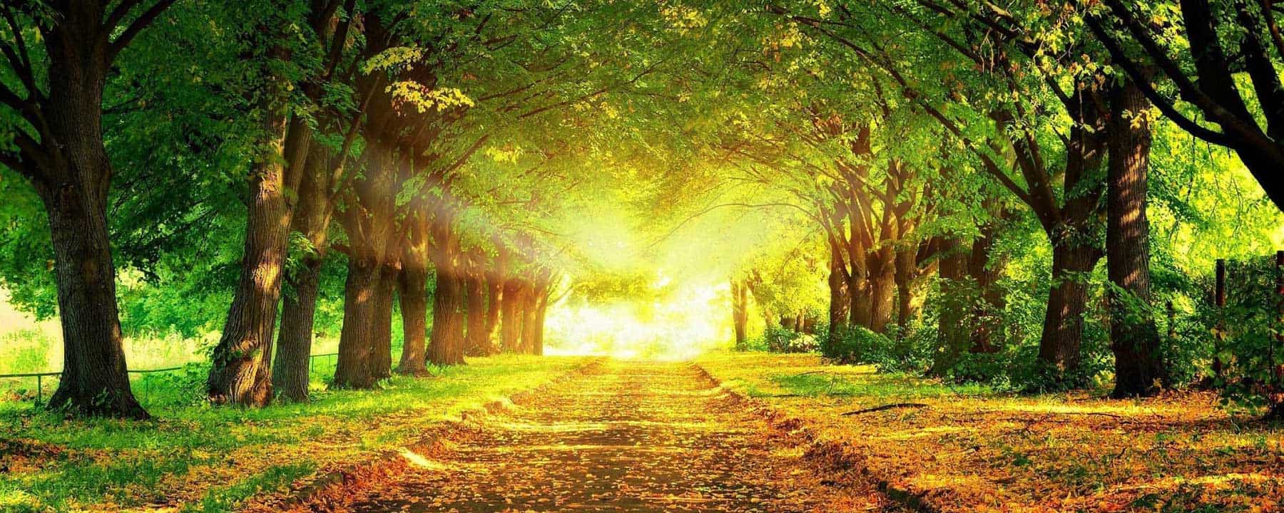 Nature5-actinutrition