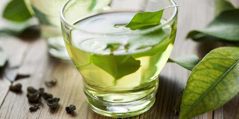 thevert-actinutrition-800