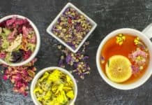 Comment les brûle-graisses naturels agissent sur l’organisme Brûle-graisses naturels