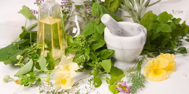 complementsalimentairesimportants-actinutrition-800