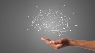 Les pouvoirs méconnus du cerveau pour maigrir (lettre) comment programmer son cerveau pour maigrir.