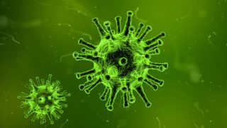 Nous sommes 10% humain et 90% bactérien ! (lettre) virus microbiote intestinal