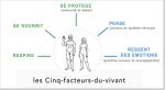 les_cinq_facteurs_du_vivant