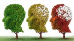 Maladie d’Alzheimer : un protocole simple et naturel (lettre)