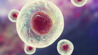 Le secret d’Actinutrition : la biotechnologie ACE biotechnologie définition