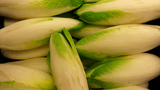 Endive