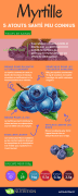 Infographie-myrtille