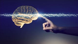 La définition du bien-être selon les Neurosciences Définition générale des Neurosciences