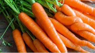 20190924-carotte