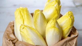 photo illustration endive