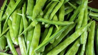 Gomme-de-guar-1000_563