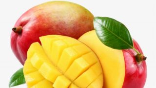 Illustration mangue (1)