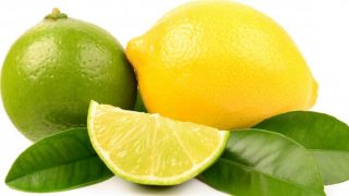 illustration citron