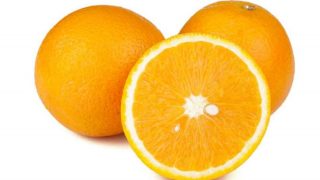 illustration orange