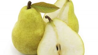 illustration poire