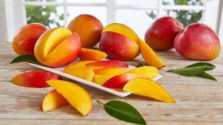 mangue illustration