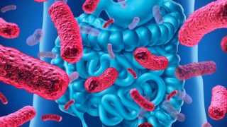 microbiote 1000