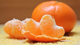 orange illustration