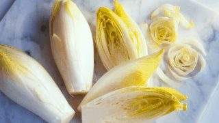 photo illustration endive (1)