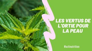 photo annonce ortie