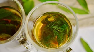 10 tisanes pour tous les maux du quotidien bienfaits des tisanes