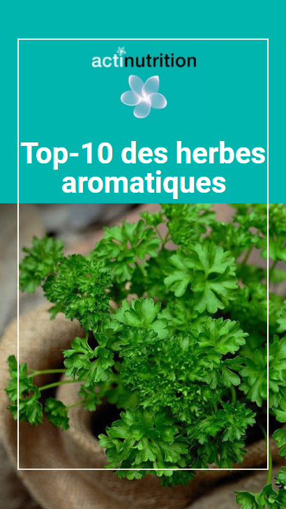 Votre liste des herbes aromatiques