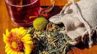 20 plantes médicinales pour les maux du quotidien meilleures plantes medicinales