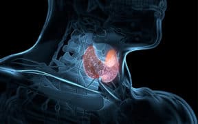 Comment gérer au quotidien les caprices de votre thyroïde ? (lettre)