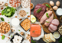 Tout savoir sur les protéines animales et végétales… Newsletter Acti 09.06